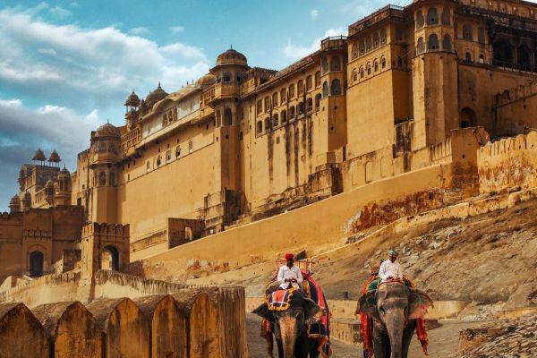 Ranthambore taxi and cab fleet