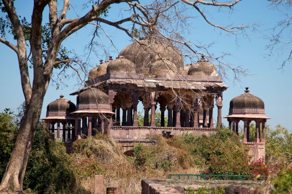 Ranthambore jungle safari experience